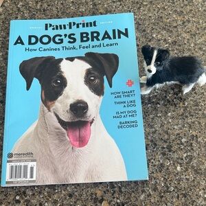 A Dog's Brain Special Edition Book Magazine & a furry border collie statue NEW